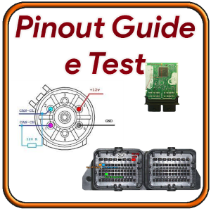 Pinout e guide